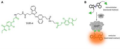 Molecular Logic as a Means to Assess Therapeutic Antidotes